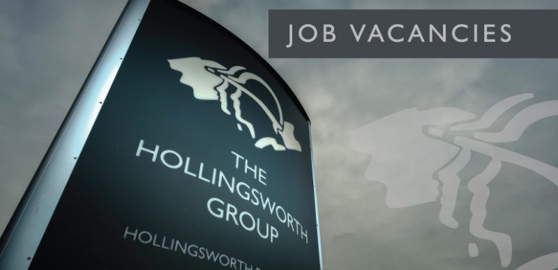 jobs hollingsworth group